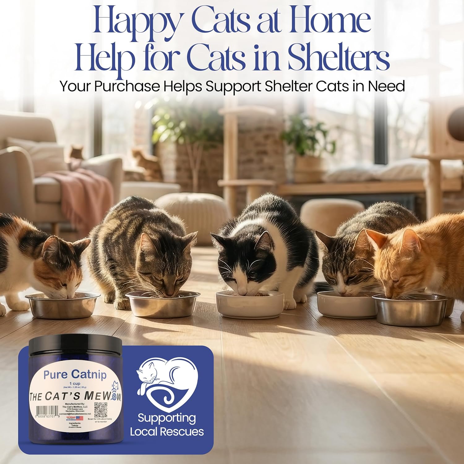 100% Pure Catnip – North American Grown – Strong Aroma for Play & Enrichment – Resealable Freshness Jar – Veteran-Owned Brand