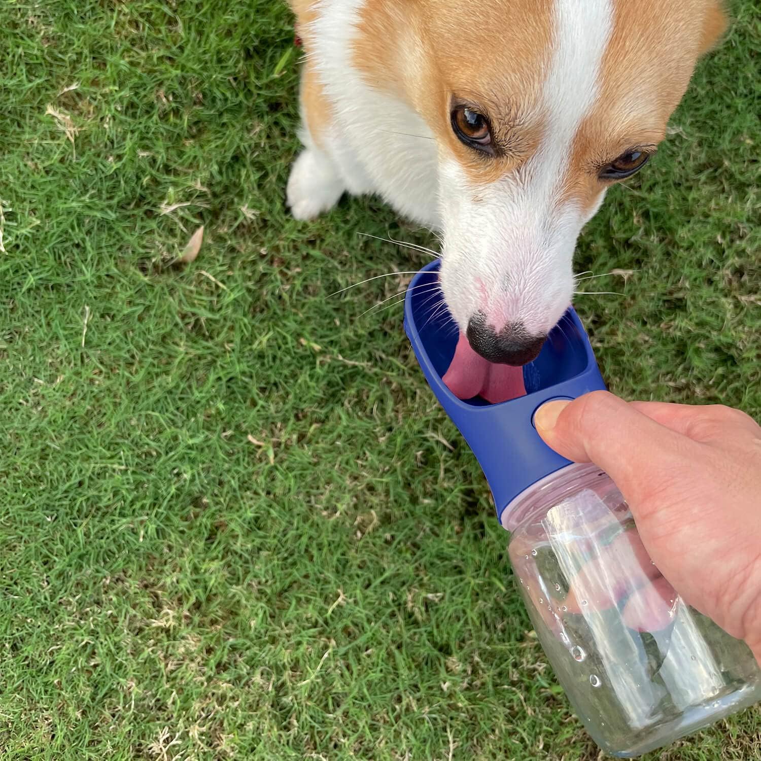 Portable Dog Water Bottle, 19 OZ, Leak Proof Puppy Water Dispenser with Drinking Feeder for Pets Outdoor Walking, Hiking, Travel, Food Grade Plastic